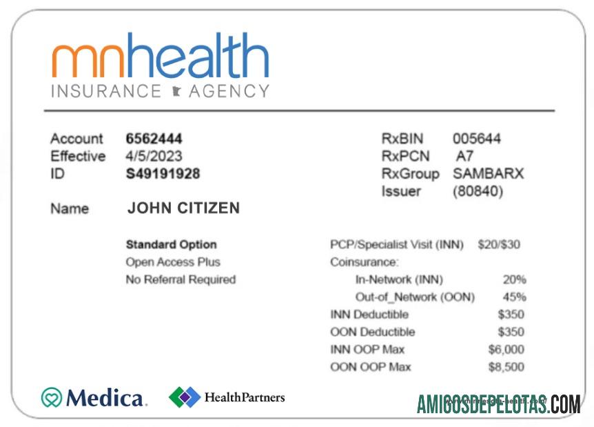 Cartão de seguro saúde de Minnesota exemplo